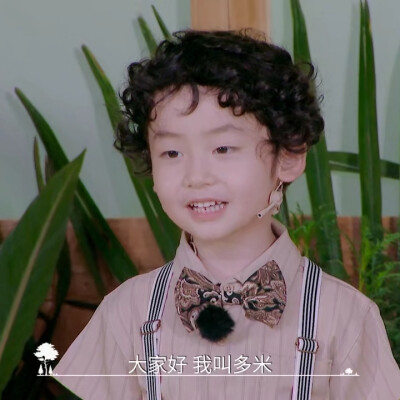 奇妙小森林×多米丨dt浅浅
可二改