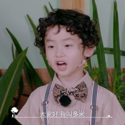 奇妙小森林×多米丨dt浅浅
可二改