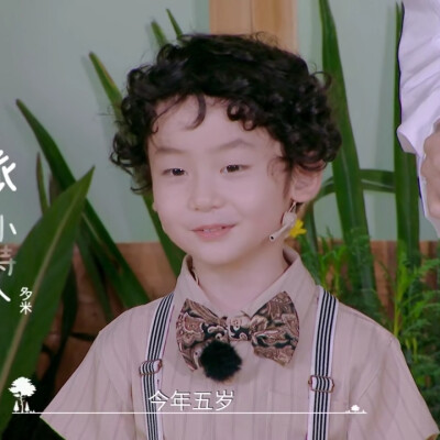 奇妙小森林×多米丨dt浅浅
可二改