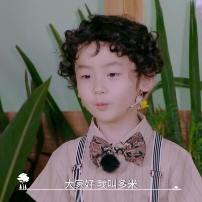 奇妙小森林×多米丨dt浅浅
可二改