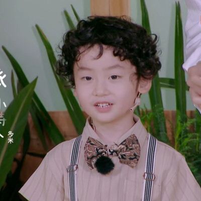 奇妙小森林×多米丨dt浅浅
可二改