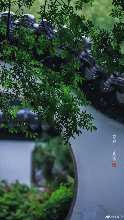 夏雨｜瞻园
听雨眠，一蓑烟雨枕江南。
摄影：@許興咏 #hello六月##就要这young拍# ​​​