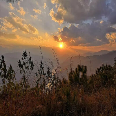 ins背景/朋友圈配图
分享几个有关秋天的文案
积攒了整个夏天的情愫想在秋天让你知道.
等落叶满地，我希望拥抱你的还是我.
愿夏日的遗憾，与秋色平分。
秋天到了夏天的不甘该通通放下了.
夏天的遗憾一定会被温柔的秋…