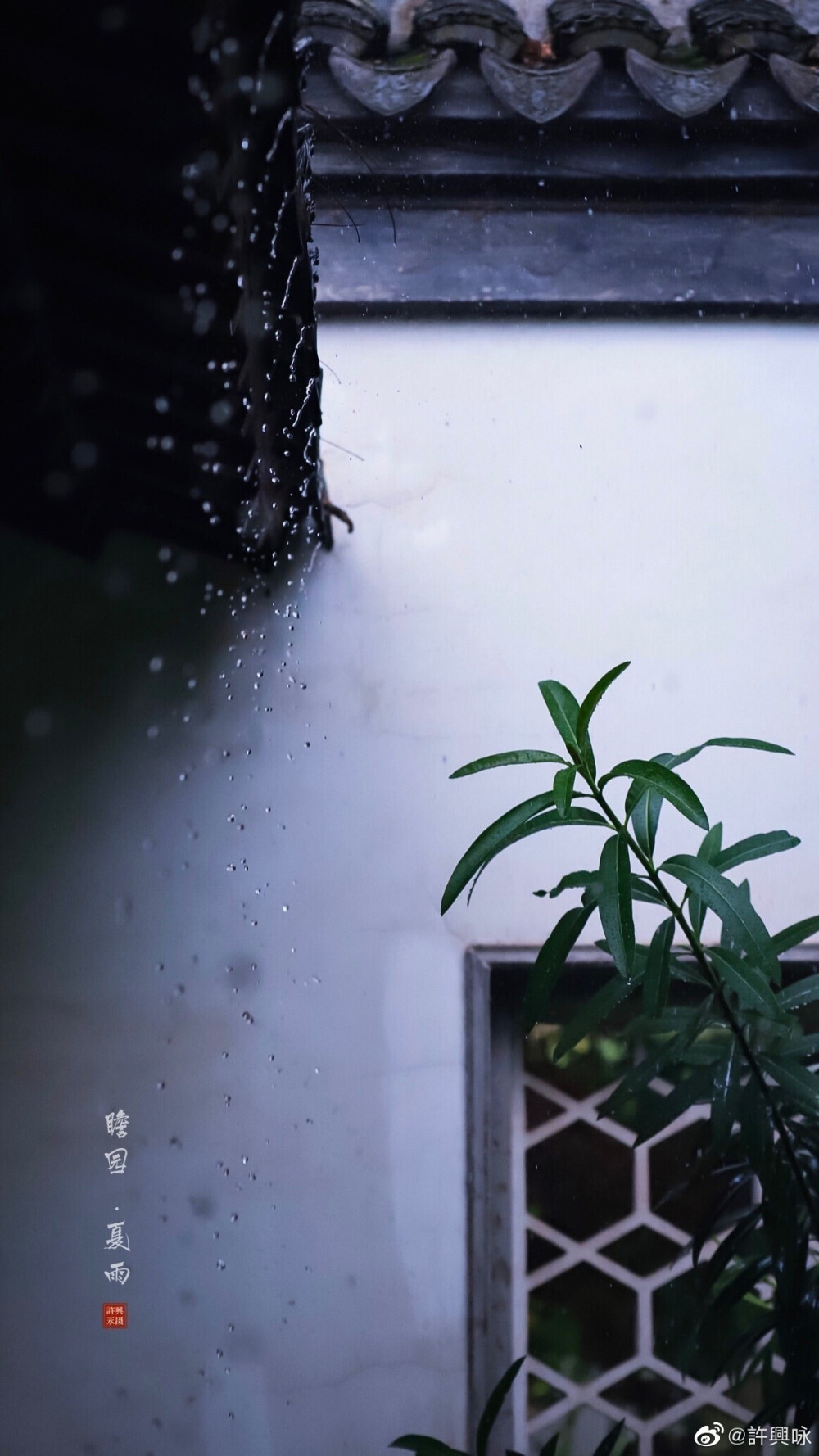 夏雨｜瞻园
听雨眠，一蓑烟雨枕江南。
摄影：@許興咏 #hello六月##就要这young拍# ​​​