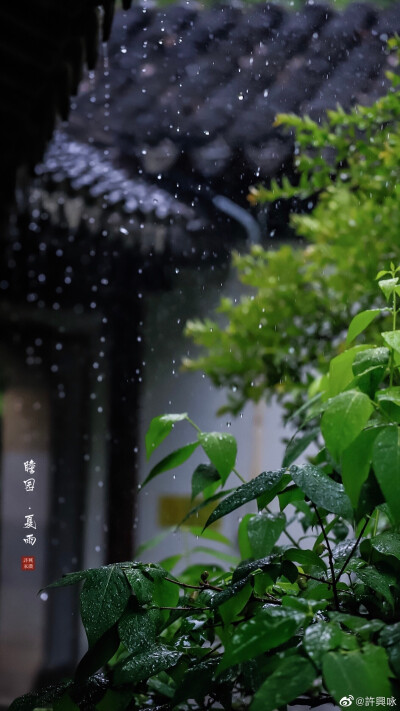 夏雨｜瞻园
听雨眠，一蓑烟雨枕江南。
摄影：@許興咏 #hello六月##就要这young拍# ​​​