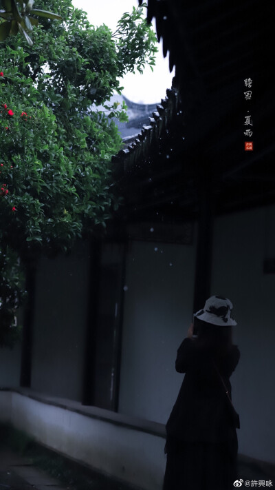 夏雨｜瞻园
听雨眠，一蓑烟雨枕江南。
摄影：@許興咏 #hello六月##就要这young拍# ​​​