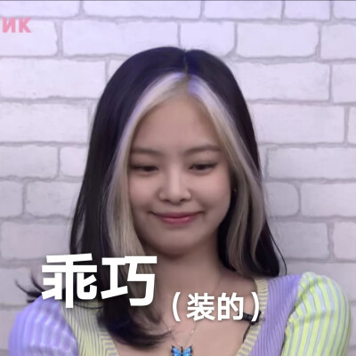 jennie表情包