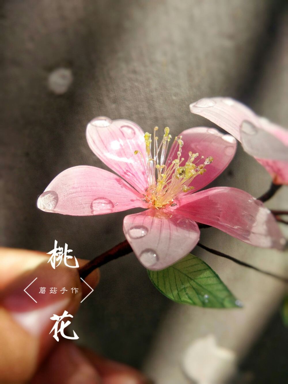 原创桃花热缩片发簪热缩花蘑菇手作
原创请勿抄袭(桃花是大自然生而存在的，我说的抄袭是款式和搭配)
淘宝店(蘑菇的手工小铺)