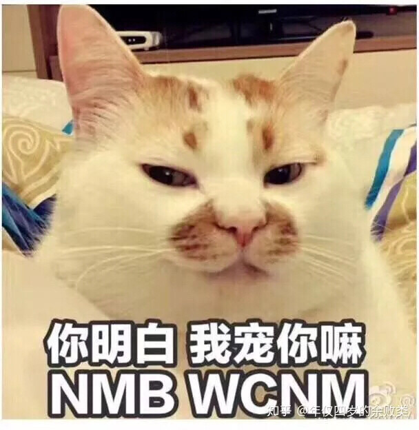 傻雕表情包