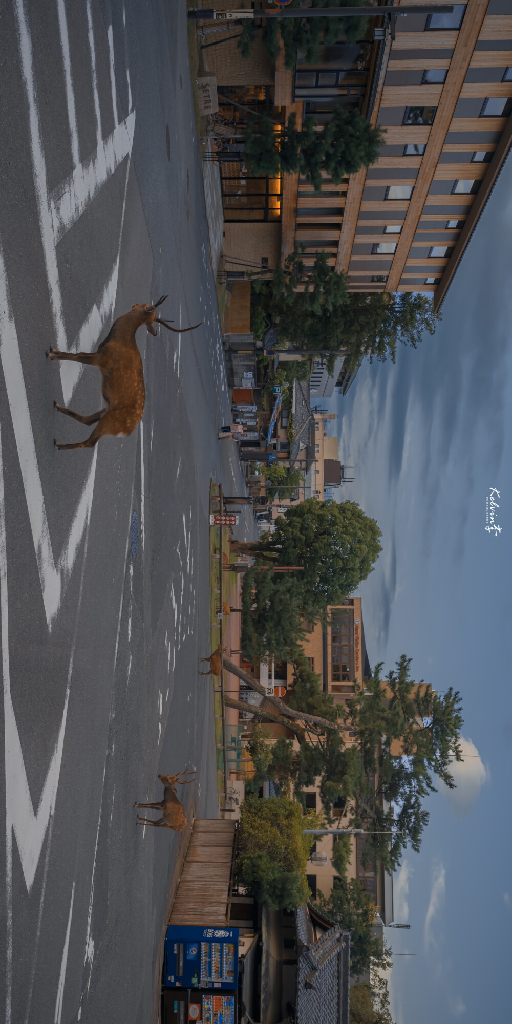 锁屏 | 山水有相逢,来日皆可期 摄影师kelvin李