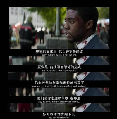 黑豹 Chadwick Boseman离世
Wakanda Forever