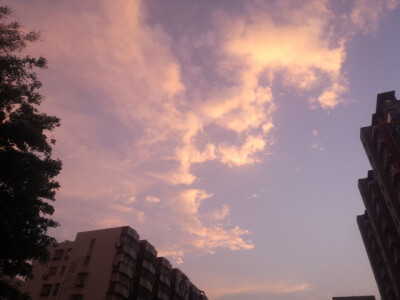 除iu外都是自己拍的图