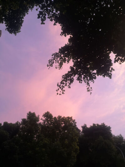 除iu外都是自己拍的图