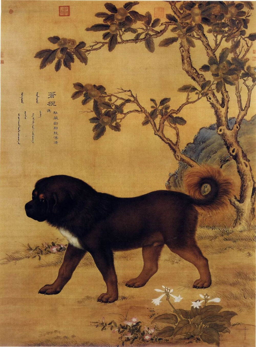 郎世宁《十骏犬之苍猊图》,绢本设色,清代