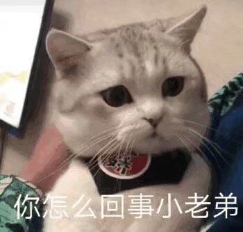 沙雕表情包 熊猫头 可爱表情包