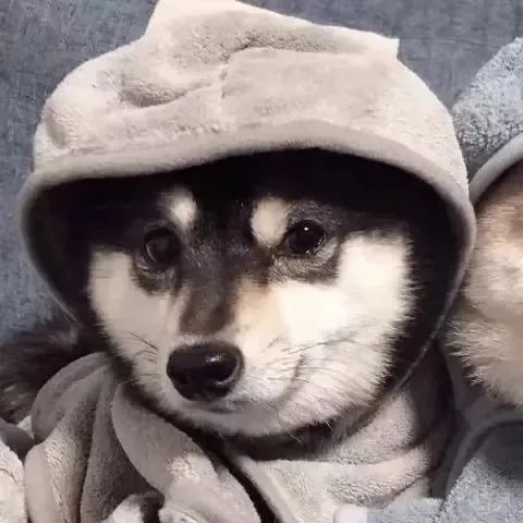 媜.1图源网络侵权删