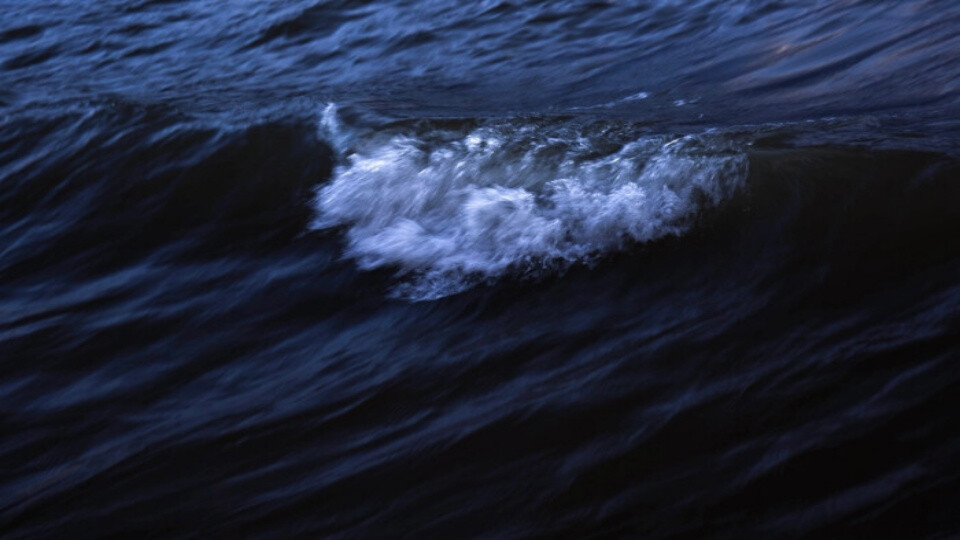 医用血袋 照镜 海浪 花 键盘 血 拉手 水下 画画素材‖苏稚童