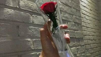 医用血袋 照镜 海浪 花 键盘 血 拉手 水下 画画素材‖苏稚童