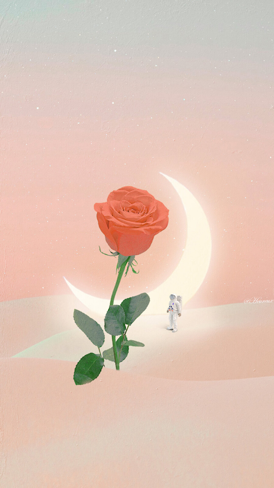 收藏啦(•̀ω•́)✧