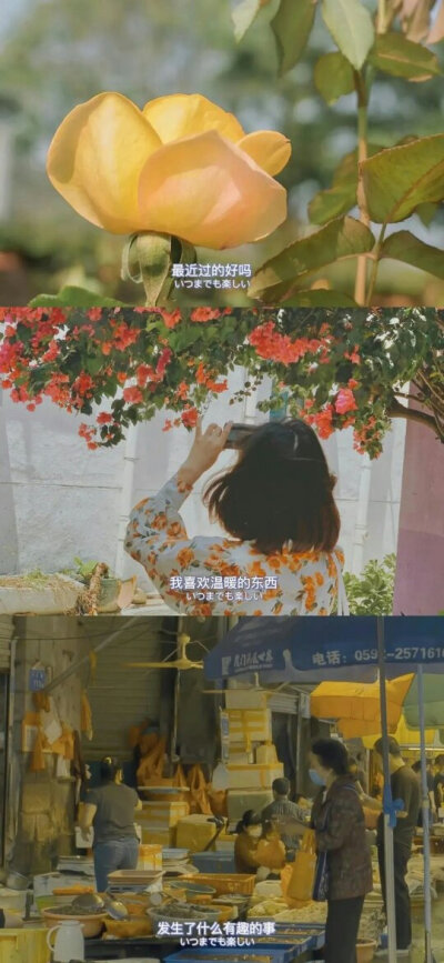 世间万物值得浪漫
侵权删