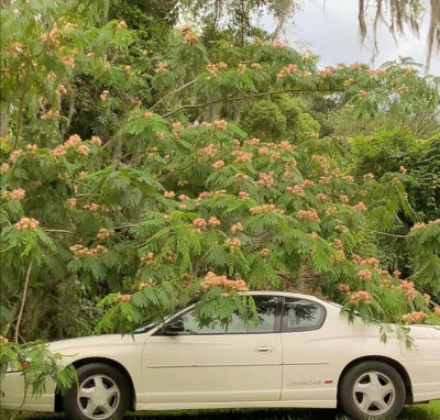 世间万物值得浪漫
侵权删