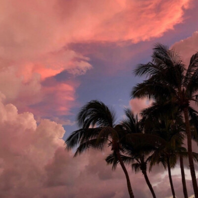 世间万物值得浪漫
侵权删