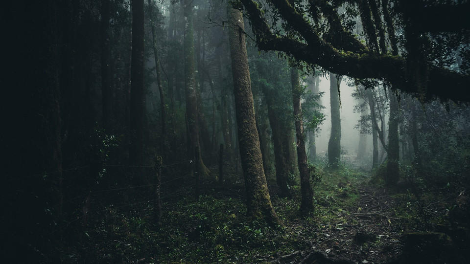 <巫山>场景橙光背景/尺寸已调