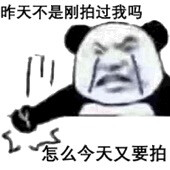 微信拍一拍