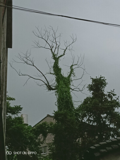 从前