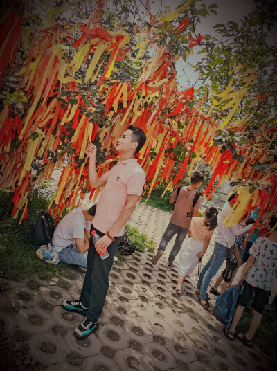 季常健，云台山