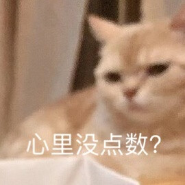 宠物表情包 猫咪 汪仔