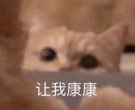 宠物表情包 猫咪 汪仔