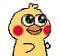 小黄鸡/鹦鹉兄弟 表情包