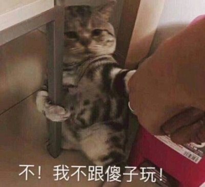 我的快乐呢