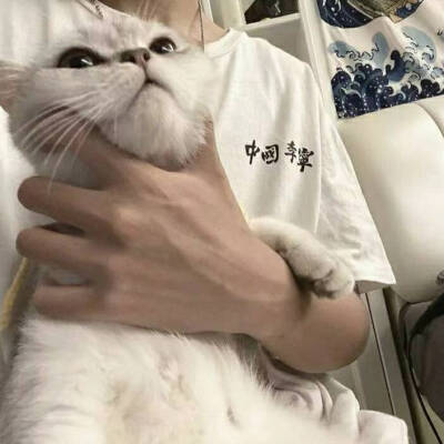 卡住腻命运的咽喉