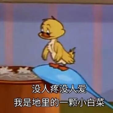 百因必有果
下个富婆就是我