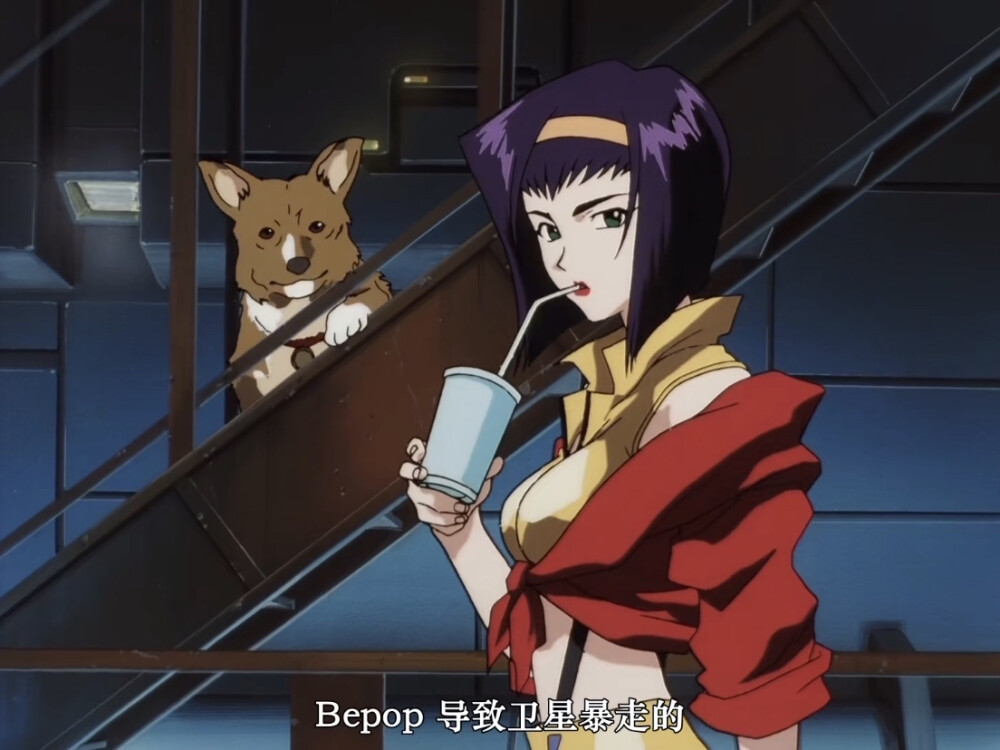 Faye 一旁的Ein太可爱啦