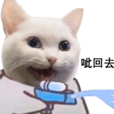 猫猫狗狗萌宠情头