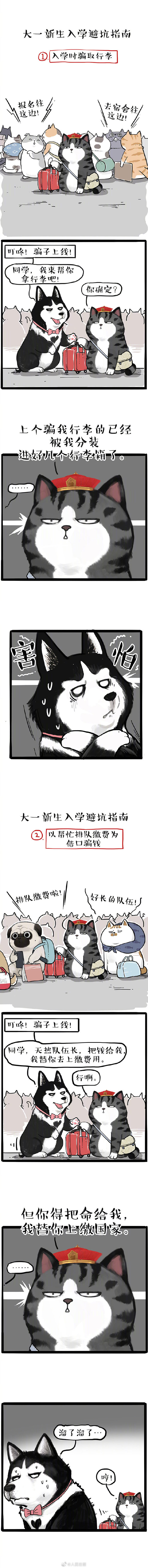 #漫画版开学防骗指南#
吾皇威武！