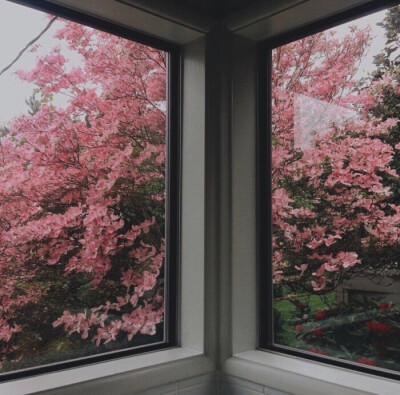 qq背景，聊天背景