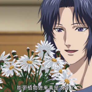 网球王子 幸村精市 壁纸or头像