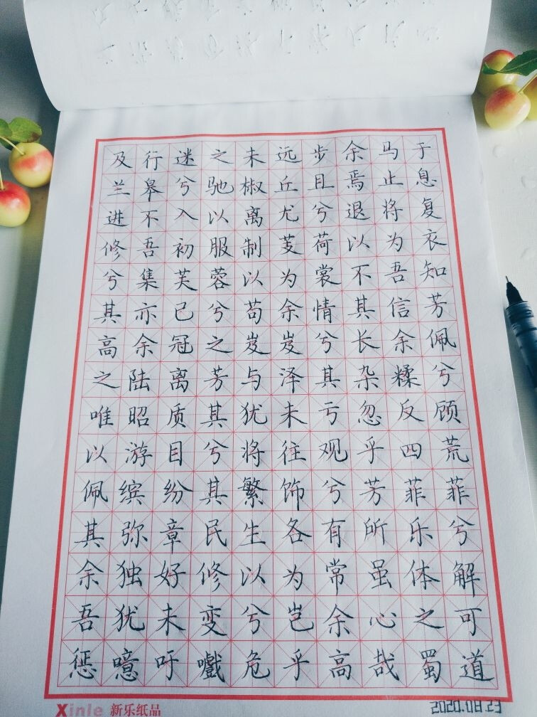 小陈的练字打卡