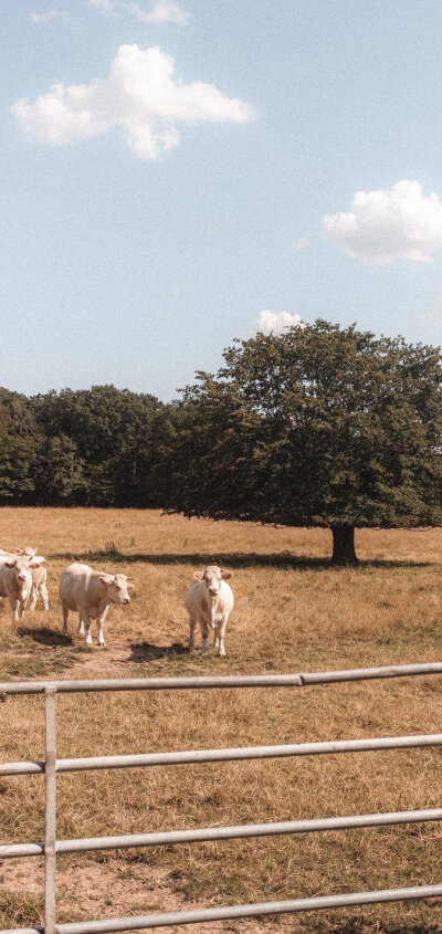 壁纸锁屏背景