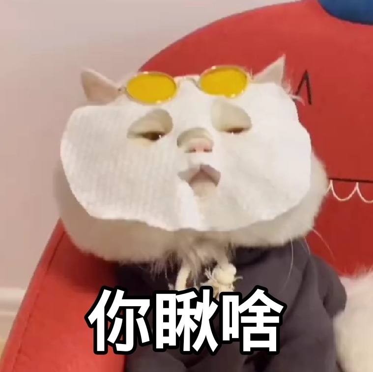 猫咪表情包‖又是被球球治愈的一天
