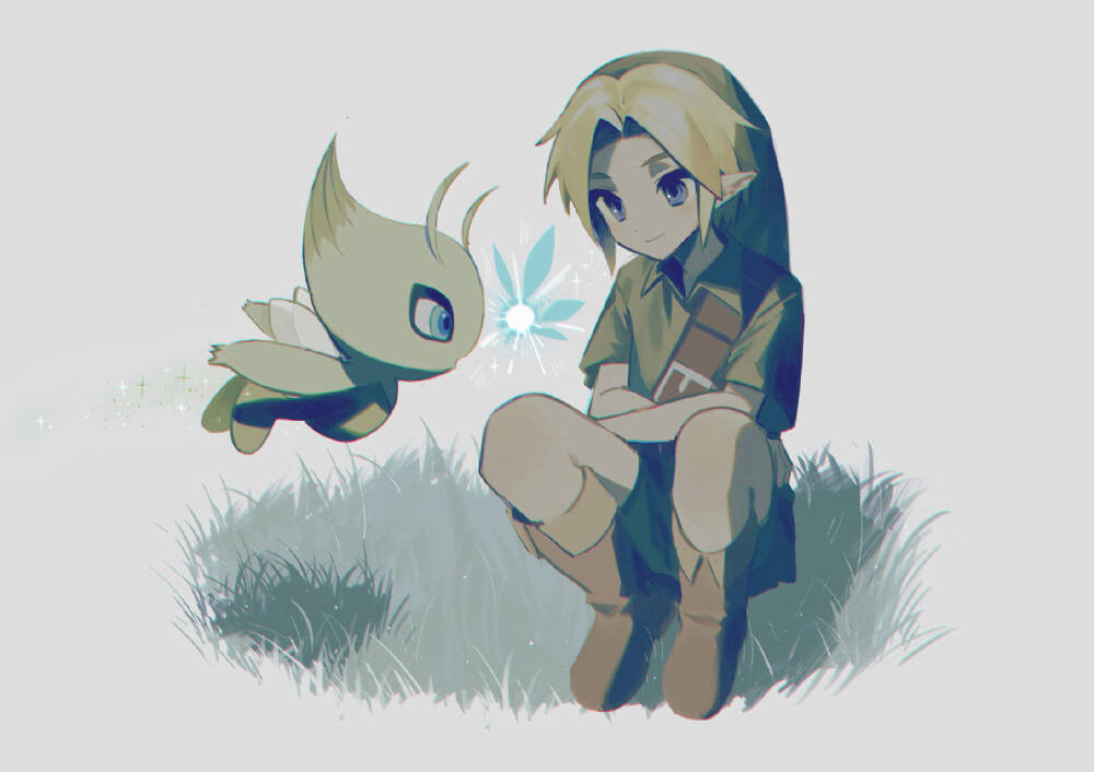 塞尔达传说 林克