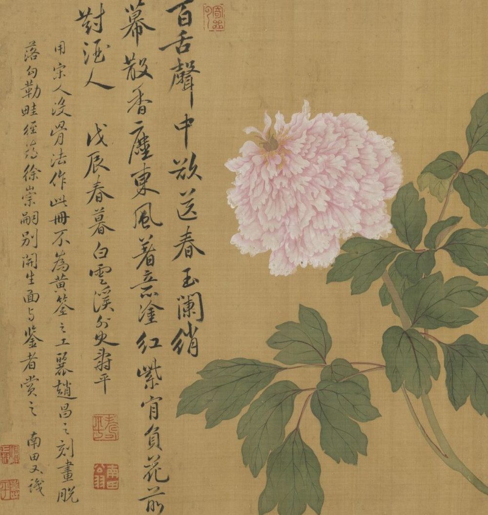 恽寿平 花鸟画《牡丹图册》
山水图 花鸟 人物 动物 工笔 写意 详细介绍请关注新浪微博@国画热 你我暮年，闲坐庭院，云卷云舒听雨声，星密星稀赏月影，花开花落忆江南，你话往时，我画往事。新浪微博同名@电影热 @西画热 求关注o ^_-