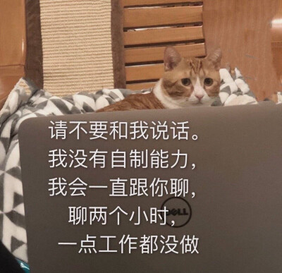 表情
