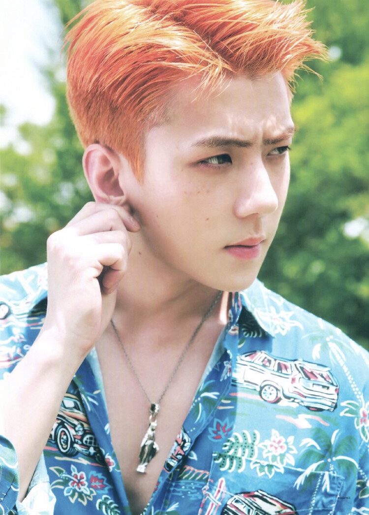 sehun