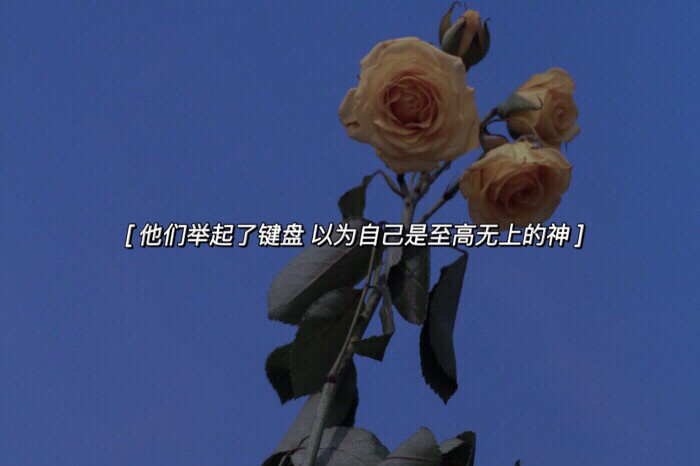 人山人海 人来人往
自尊自爱 自由自在
