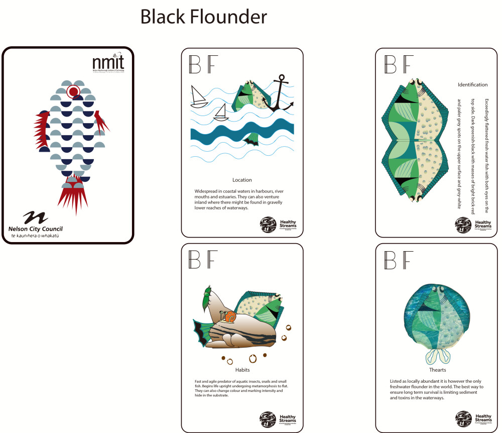 I designed the card patterns and patterns according to the popular game "Fish/Go Fish". The protagonists of these cards are three NZ fish that live in fresh water, with the aim of
educating people about freshwater fish species and encouraging them to help